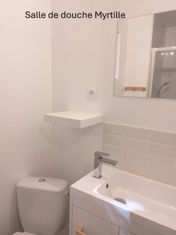 Le Relais Charraud Apartment Le Mont-Dore Exterior foto